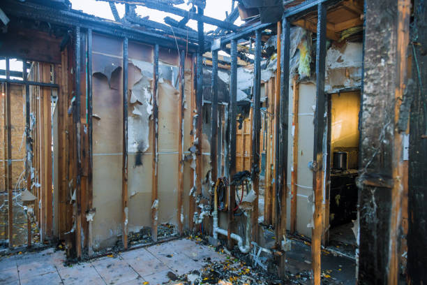 Professional Fire Damage Repair technician working in Osseo, MN